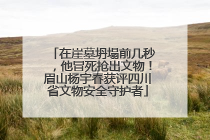 在崖墓坍塌前几秒，他冒死抢出文物！眉山杨宇春获评四川省文物安全守护者