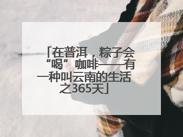 在普洱，粽子会“喝”咖啡——有一种叫云南的生活之365天
