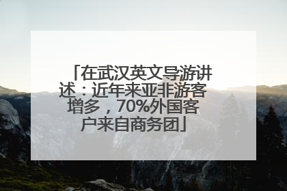 在武汉英文导游讲述：近年来亚非游客增多，70%外国客户来自商务团