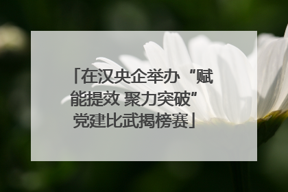 在汉央企举办“赋能提效 聚力突破”党建比武揭榜赛