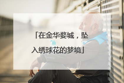 在金华婺城，坠入绣球花的梦境