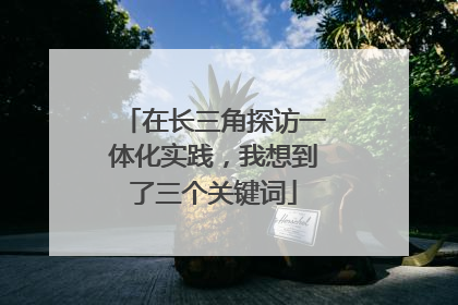 在长三角探访一体化实践，我想到了三个关键词