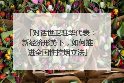 对话世卫驻华代表：新经济形势下，如何推进全国性控烟立法