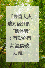 导盲犬杰瑞对宿迁的“初体验”：有爱亦有坎 温情破万难