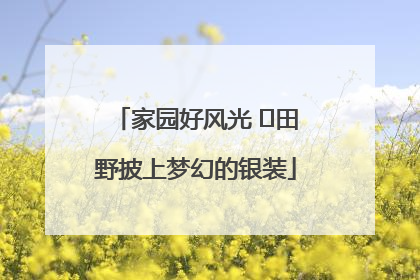 家园好风光 ⎮田野披上梦幻的银装