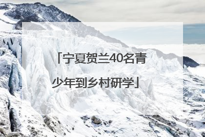 宁夏贺兰40名青少年到乡村研学