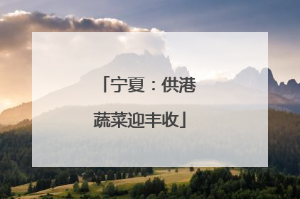 宁夏：供港蔬菜迎丰收