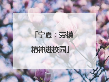 宁夏：劳模精神进校园