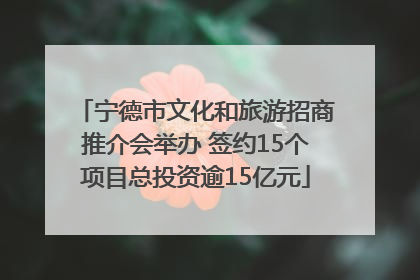 宁德市文化和旅游招商推介会举办 签约15个项目总投资逾15亿元