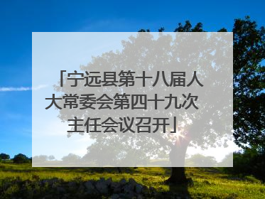 宁远县第十八届人大常委会第四十九次主任会议召开