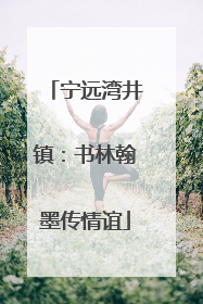 宁远湾井镇：书林翰墨传情谊