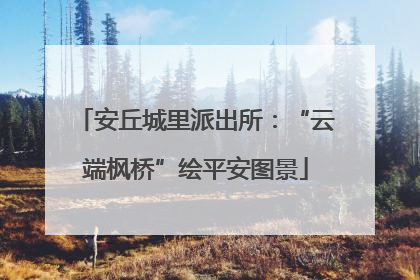 安丘城里派出所：“云端枫桥”绘平安图景