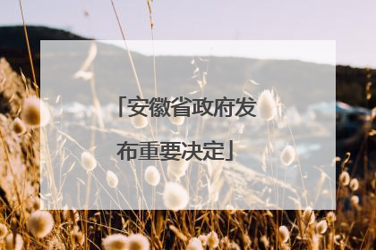 安徽省政府发布重要决定
