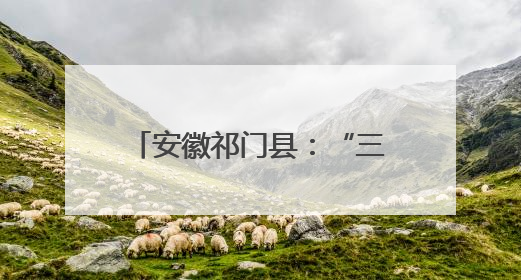安徽祁门县：“三措联动”赋能退役军人创业贷落地见效