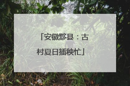 安徽黟县：古村夏日插秧忙