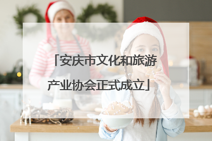安庆市文化和旅游产业协会正式成立