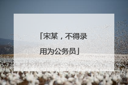 宋某，不得录用为公务员