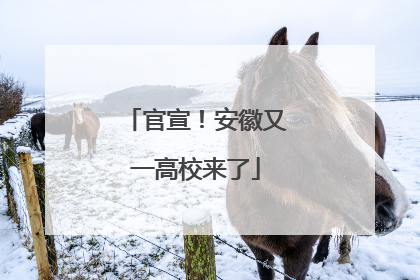 官宣！安徽又一高校来了