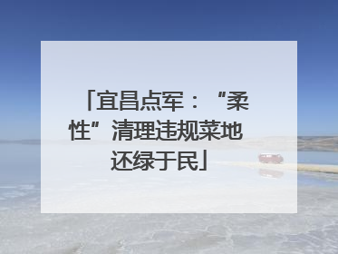 宜昌点军：“柔性”清理违规菜地 还绿于民