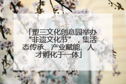 塑三文化创意园举办“非遗文化节”，集活态传承、产业赋能、人才孵化于一体
