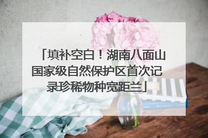 填补空白！湖南八面山国家级自然保护区首次记录珍稀物种宽距兰