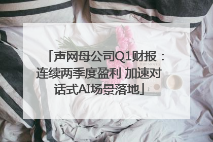 声网母公司Q1财报：连续两季度盈利 加速对话式AI场景落地