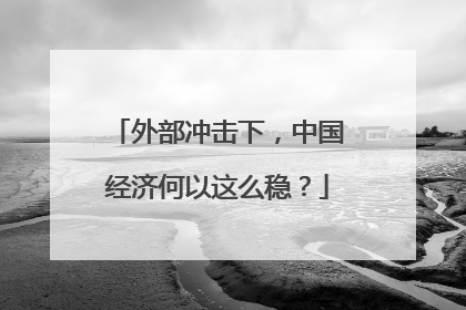 外部冲击下，中国经济何以这么稳？