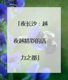 夜长沙：越夜越精彩的活力之都