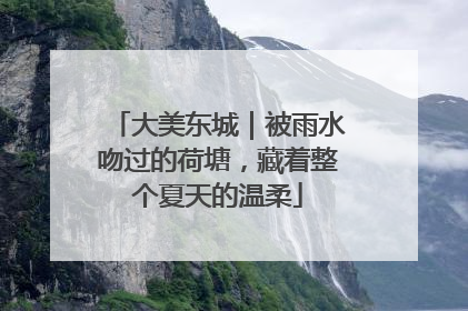 大美东城｜被雨水吻过的荷塘，藏着整个夏天的温柔