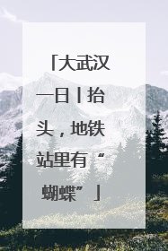 大武汉一日丨抬头，地铁站里有“蝴蝶”