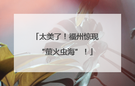 太美了！福州惊现“萤火虫海”！