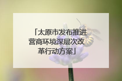 太原市发布推进营商环境深层次改革行动方案