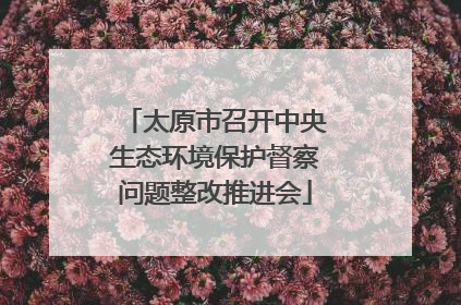 太原市召开中央生态环境保护督察问题整改推进会