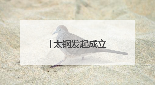 太钢发起成立船舶生态联盟