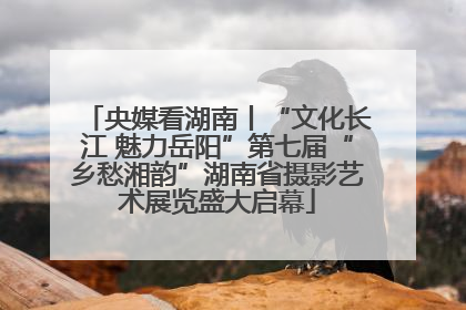 央媒看湖南丨“文化长江 魅力岳阳”第七届“乡愁湘韵”湖南省摄影艺术展览盛大启幕