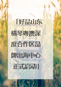 好品山东横琴粤澳深度合作区品牌出海中心正式启动