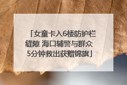 女童卡入6楼防护栏缝隙 海口辅警与群众5分钟救出获赠锦旗
