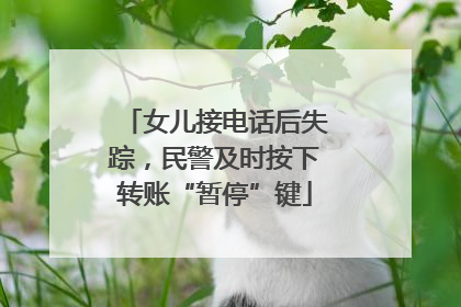 女儿接电话后失踪，民警及时按下转账“暂停”键