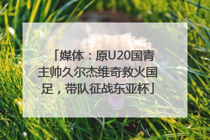 媒体：原U20国青主帅久尔杰维奇救火国足，带队征战东亚杯