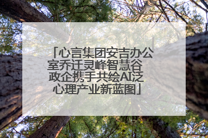 心言集团安吉办公室乔迁灵峰智慧谷 政企携手共绘AI泛心理产业新蓝图