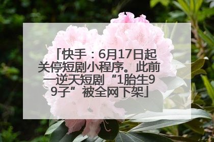 快手：6月17日起关停短剧小程序。此前一逆天短剧“1胎生99子”被全网下架