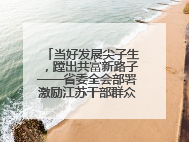 当好发展尖子生，蹚出共富新路子——省委全会部署激励江苏干部群众促进全体人民共同富裕