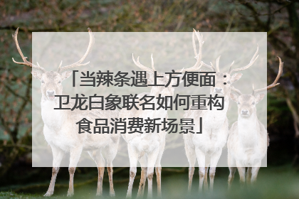 当辣条遇上方便面：卫龙白象联名如何重构食品消费新场景