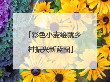 彩色小麦绘就乡村振兴新蓝图