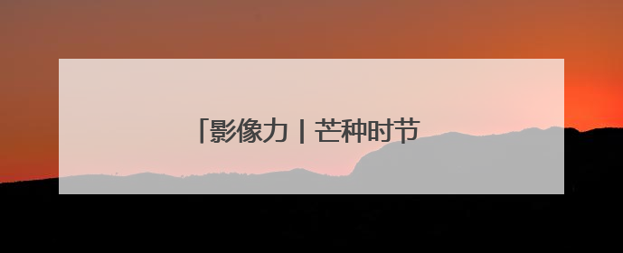 影像力丨芒种时节 田间地头绘“丰”景
