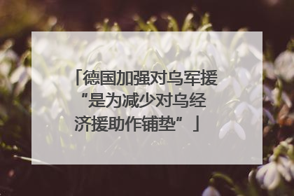 德国加强对乌军援 “是为减少对乌经济援助作铺垫”
