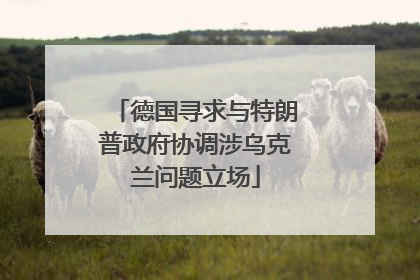德国寻求与特朗普政府协调涉乌克兰问题立场