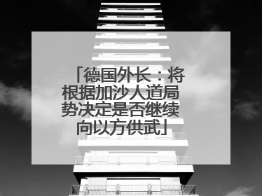 德国外长：将根据加沙人道局势决定是否继续向以方供武