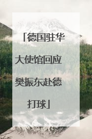 德国驻华大使馆回应樊振东赴德打球