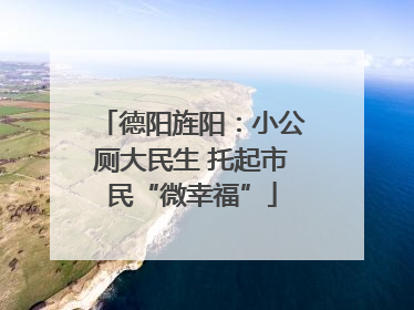 德阳旌阳：小公厕大民生 托起市民“微幸福”